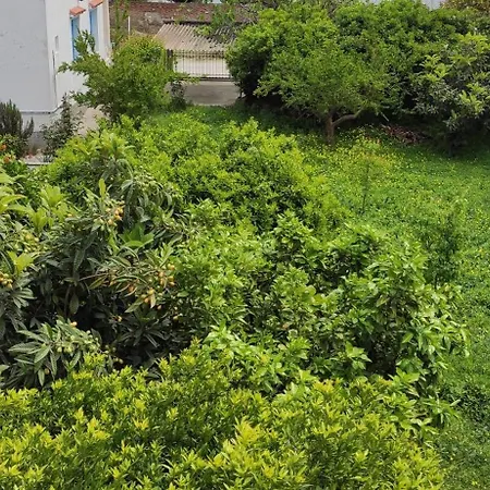 Garden House Villa Amarynthos Exterior photo