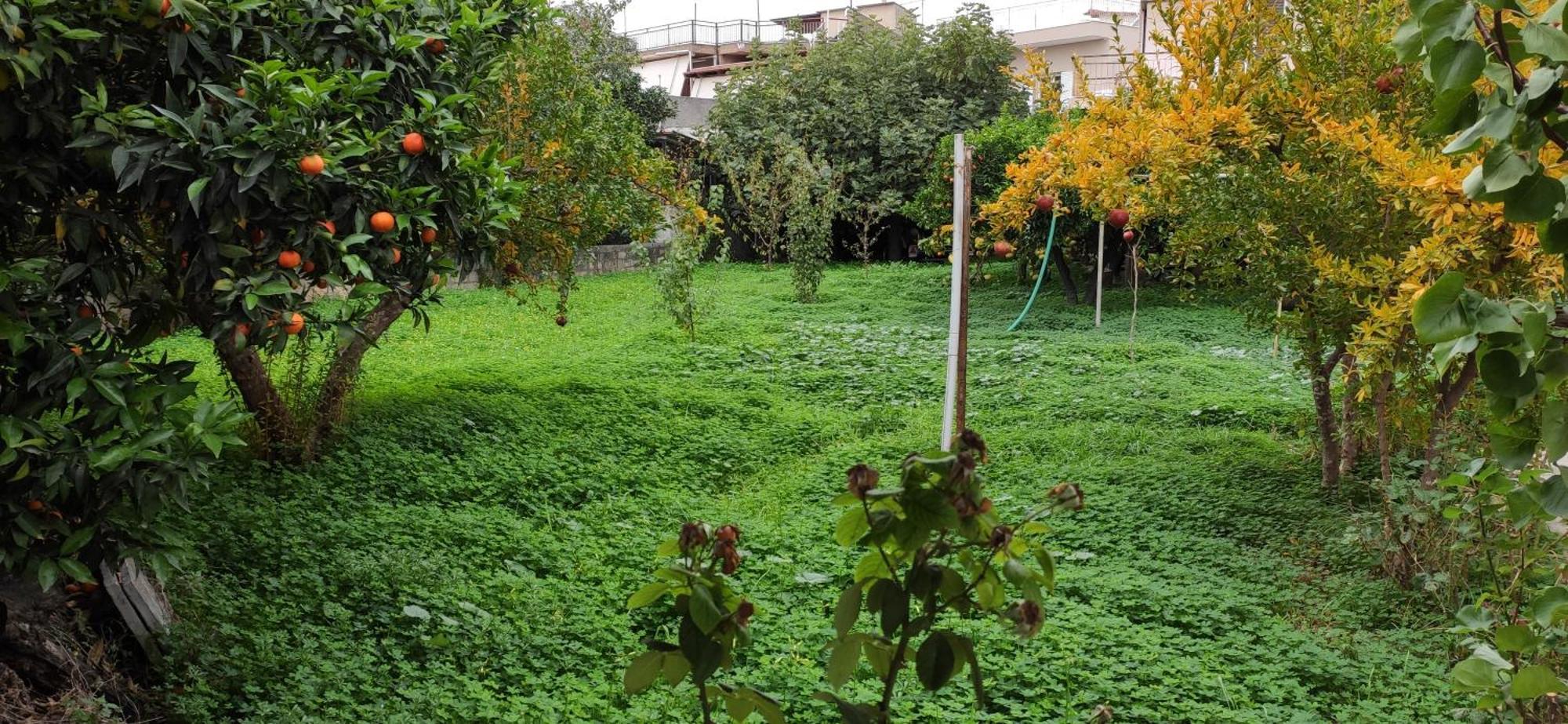 Garden House Prázdninový dům Amarynthos