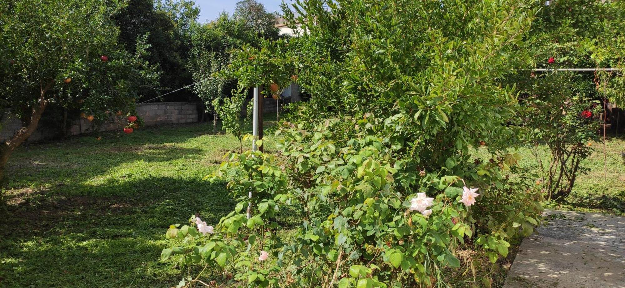 Garden House * Amarynthos