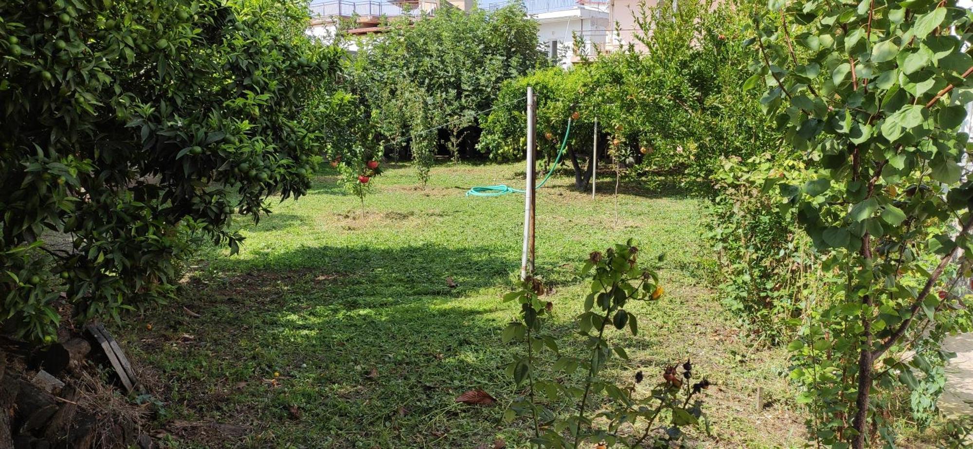 Holiday home Garden House Amarynthos