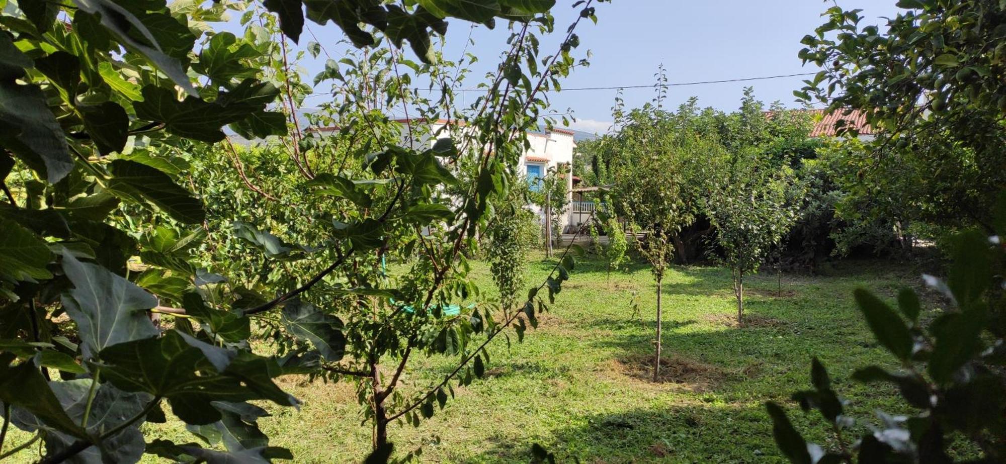 Garden House Amarynthos